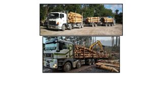 Transport Business for Sale in New Zealand