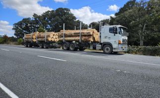 Transport Business for Sale in New Zealand