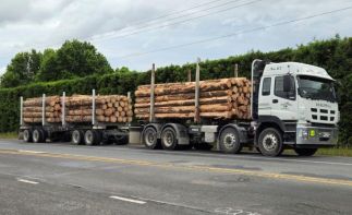 Transport Business for Sale in New Zealand