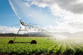 Patented Agricultural Product