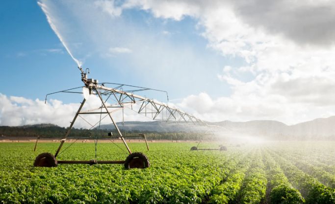 Patented Agricultural Product