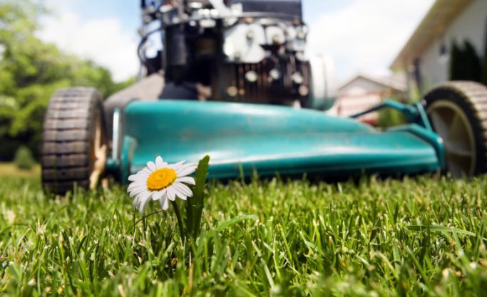 Lawnmower & Outdoor Equipment Sales and Repairs