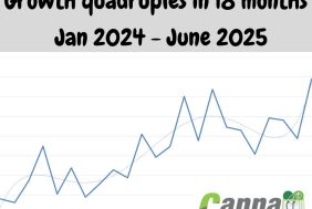 BFS00105_243_COR_growth.png