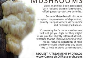 BFS00105_245_COR__Lions_Mane_Mushrooms__Copy.jpg