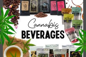 Cannabis Agency reduced to half-price