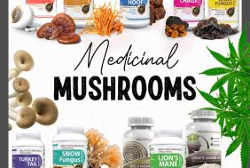 BFS00114_267_Panel_16__Mushrooms.jpg