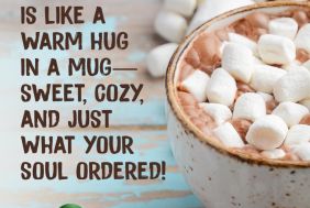 BFS00114_268_sa_Canna__Hot_Chocolate.jpg