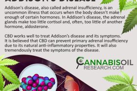 BFS00122_285_COR__Cannabis_and_Addisons_Disease.jpg