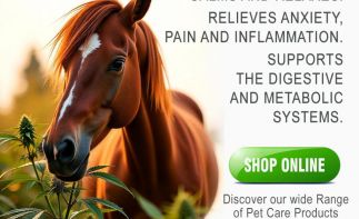 Cannamart.co.zas