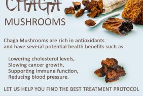 BFS00122_288_COR__Chaga_Mushrooms.jpg
