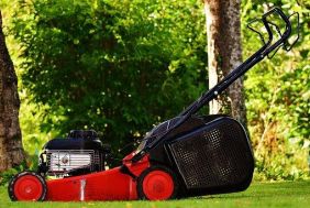BFS00137_413_536_lawnmower1593900__340_1561112442.jpg