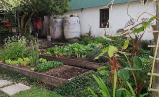 Jams, Joy and home bakes, the perfect pit stop farm stall on the Garden Route off the N2