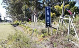 Jams, Joy and home bakes, the perfect pit stop farm stall on the Garden Route off the N2