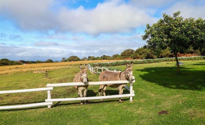 Escape to Nature and buy a Guest Farm in Tsitsikamma, Garden Route