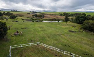 Escape to Nature and buy a Guest Farm in Tsitsikamma, Garden Route