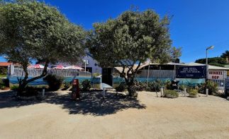 Property in popular coastal town with restaurant & pub