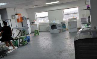 Laundry, Dry Cleaning and Carpet Cleaning Business for Sale