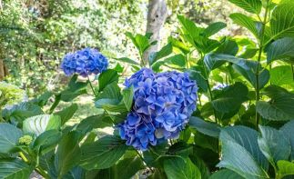 Live Your Dream & Own the Adventure: The Ultimate Lifestyle Investment in Storms River!