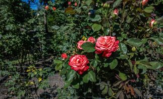 Live Your Dream & Own the Adventure: The Ultimate Lifestyle Investment in Storms River!