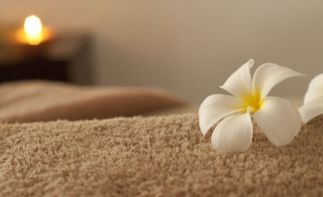 Mommy Wellness - Port Elizabeth