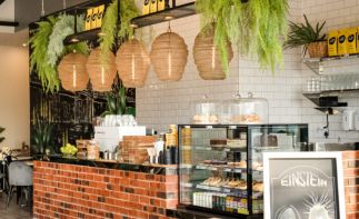 Daily Coffee Franchise: Eastern Cape