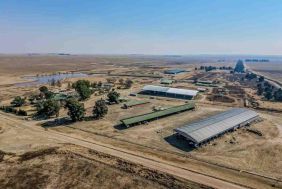 AUCTION - 425HA Turnkey Commercial Farming Operation