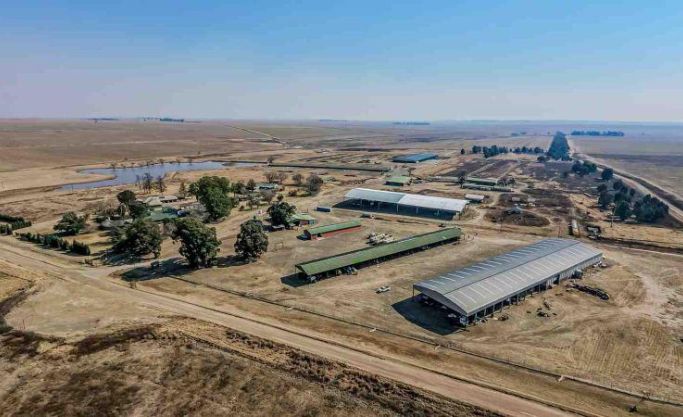 AUCTION - 425HA Turnkey Commercial Farming Operation
