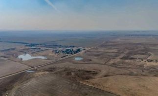 AUCTION - 425HA Turnkey Commercial Farming Operation