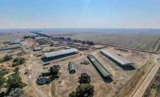 AUCTION - 425HA Turnkey Commercial Farming Operation