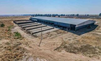 AUCTION - 425HA Turnkey Commercial Farming Operation