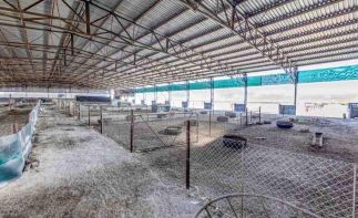 AUCTION - 425HA Turnkey Commercial Farming Operation