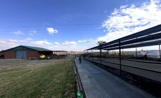 AUCTION - 425HA Turnkey Commercial Farming Operation