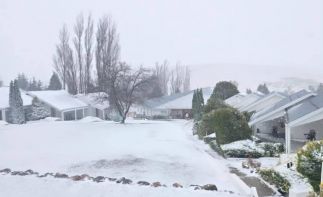 Own a Piece of Paradise – Mountain Shadows Hotel for Sale with Gambling License