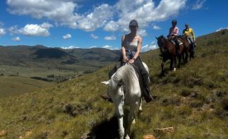 Own a Piece of Paradise – Mountain Shadows Hotel for Sale with Gambling License