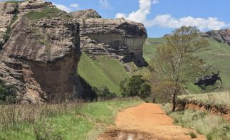 Own a Piece of Paradise – Mountain Shadows Hotel for Sale with Gambling License