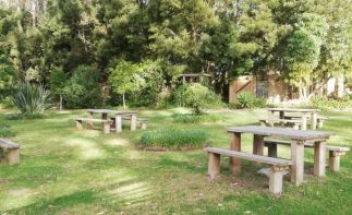 Charming Farm Stall for Sale on the busy N2 – A legendary Garden Route institution