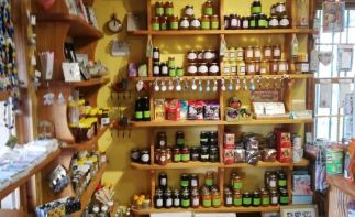 Charming Farm Stall for Sale on the busy N2 – A legendary Garden Route institution