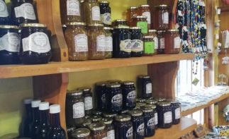 Charming Farm Stall for Sale on the busy N2 – A legendary Garden Route institution