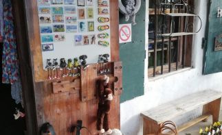 Charming Farm Stall for Sale on the busy N2 – A legendary Garden Route institution