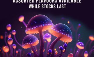 Cannamart.co.za