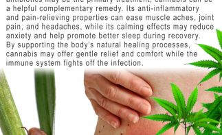 Cannamart.co.za