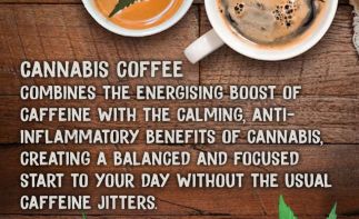 Cannamart.co.za