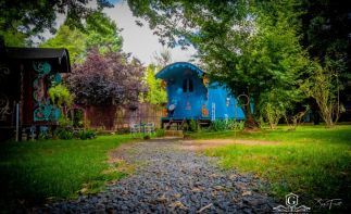 The ultimate Life Style Business. Live and work in the quaint tourist town of Clarens.