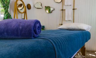 The ultimate Life Style Business. Live and work in the quaint tourist town of Clarens.