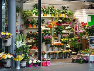 Image of Highly Profitable Florist, Long Established Lowveld