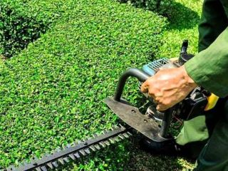 Image of Garden Service With Established Strong Client Base Lowveld