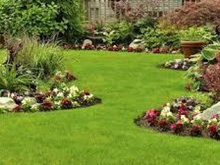 Image of Garden services in large coastal Garden Route town. Long established