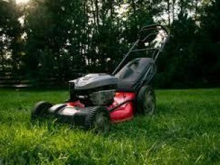 Image of Two Franchises Gardens Service with Contracted Client Complexes