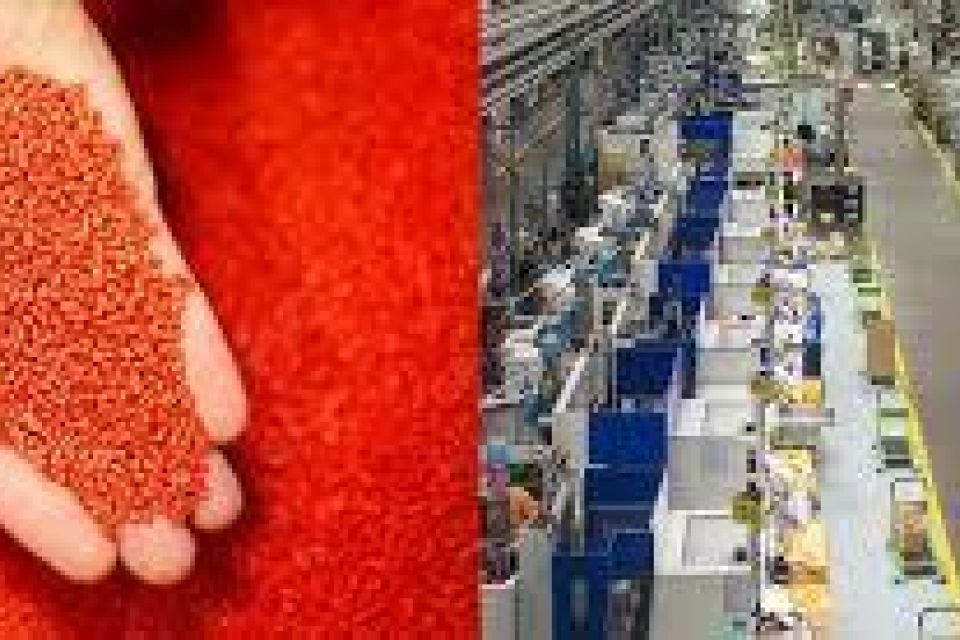 A Specialized Plastic Injection Molding business  with two Factory buildings 