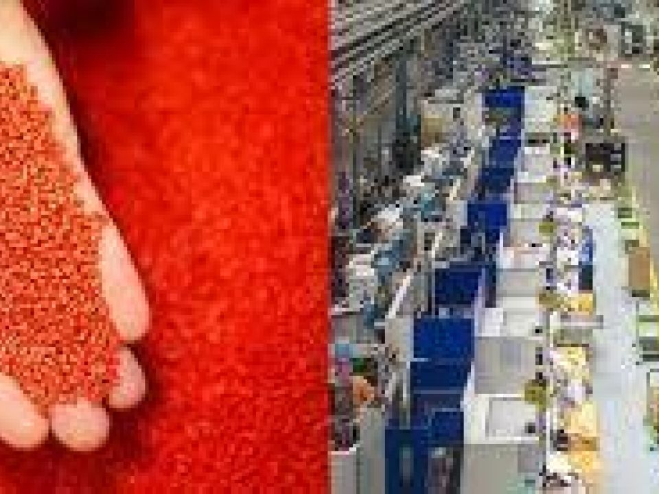 A Specialized Plastic Injection Molding business  